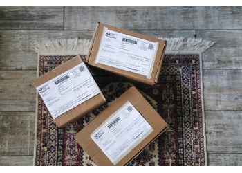 Como armazenar e preparar ovos comprados online antes da incubação